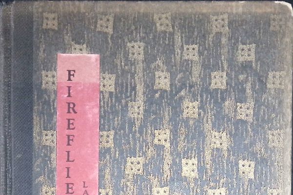 Fireflies