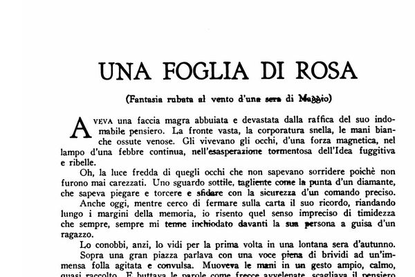 Foglia di Rosa