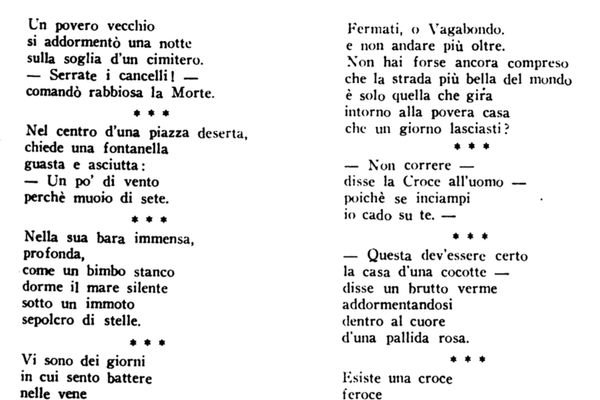 Lucciole
